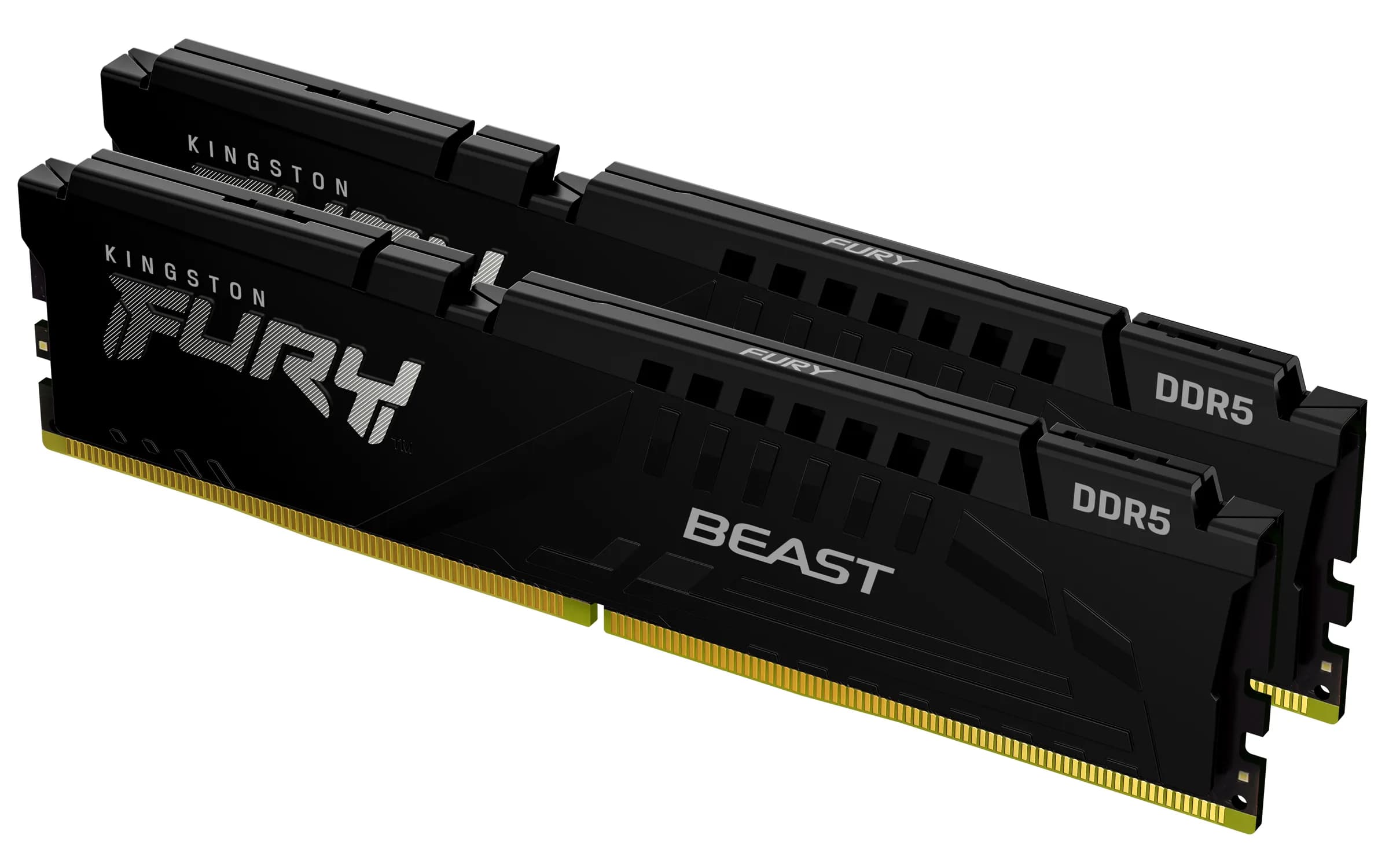 Kingston Technology FURY Beast 16 Go 6000 MT/s DDR5 CL30 DIMM (Kits de 2) Black EXPO